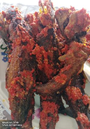 Foto resep Sambal ikan lele