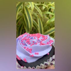 Chocolate Cupcake! 🧁 A picture of Chocolate Cupcake! 🧁.