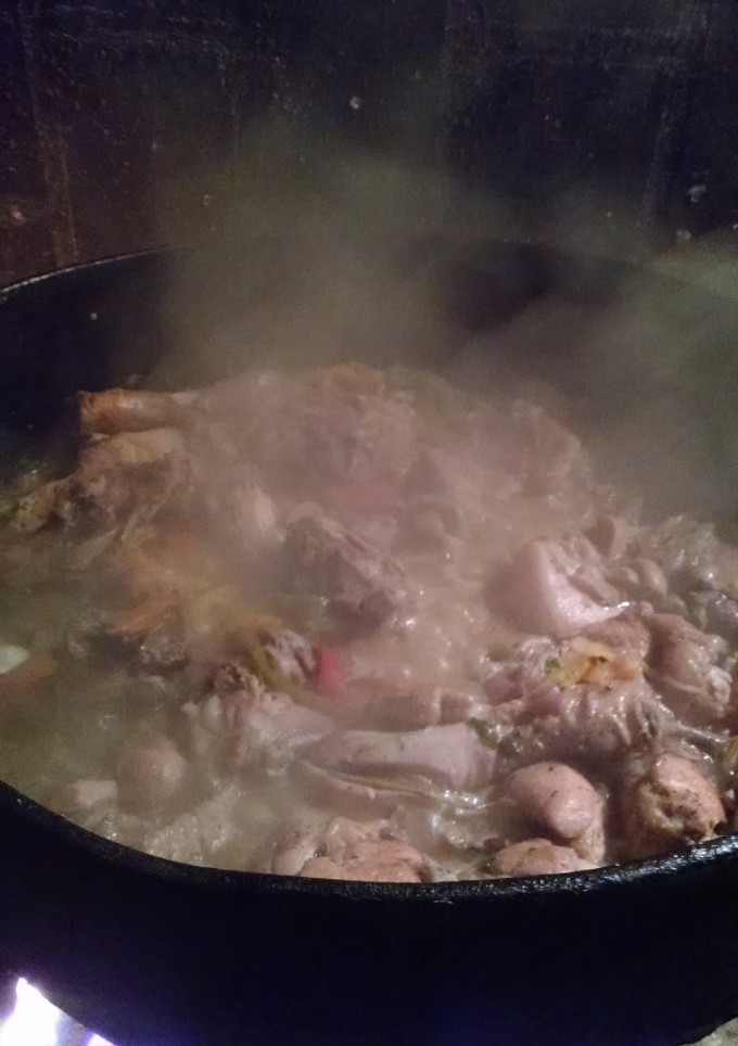Una foto de Pollo al disco