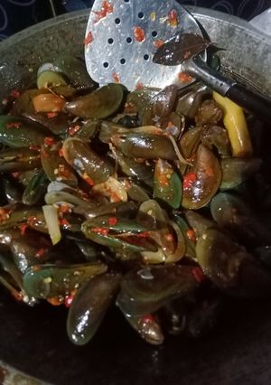 Foto resep Kerang Hijau Saus Padang