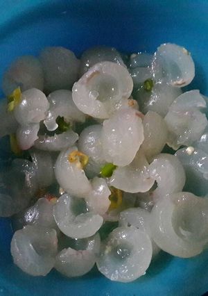 Foto resep Rujak Lengkeng Kekinian Mudah dan Simple