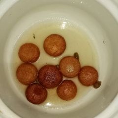 Gulab Jamun A picture of Gulab Jamun.