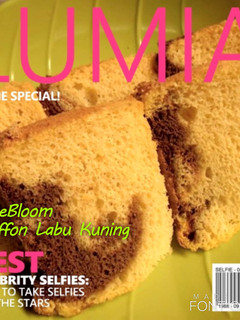 Foto resep 27. Chiffon Labu Kuning