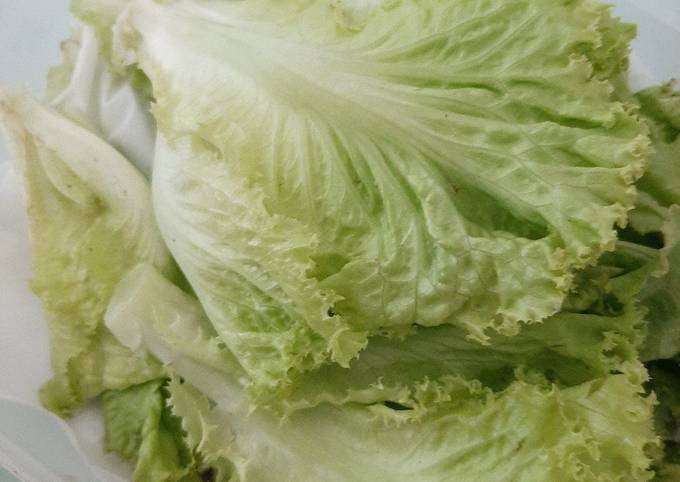 Wajib coba! Resep membuat Tips Menyimpan Selada  nagih banget