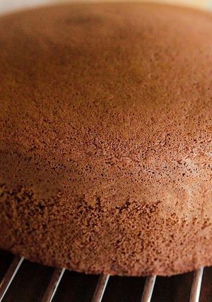 Foto resep Sponge Cake Coklat Lembut dan Enak