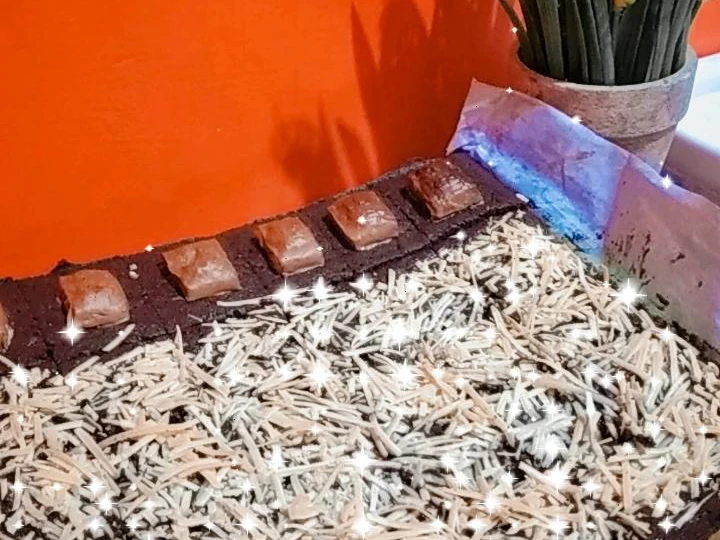 Langkah Mudah untuk Membuat Resep Brownies fudgy shiny crust yang Uenak Anti Ribet, Menggugah Selera