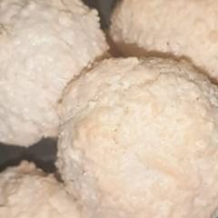 A picture of Coconut macaroons.