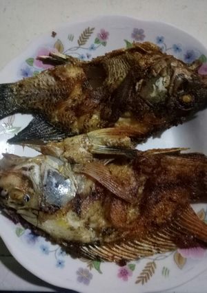 Foto resep Mujair🐟 goreng praktis