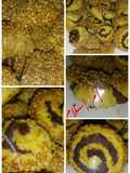 مقروطه بالتمر