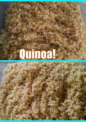 Una foto de Quinoa cocida