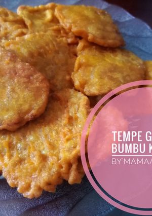 Foto resep Tempe Goreng Bumbu Kuning
