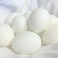 Perfect Boiled Eggs A picture of Perfect Boiled Eggs.