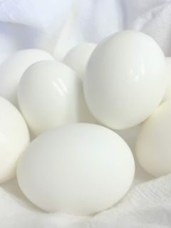 A picture of Perfect Boiled Eggs.