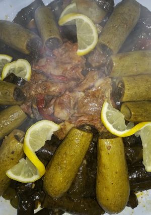 صورة لوصفة محشي كوسا و ورق عنب باللحم
