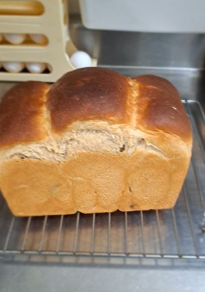 全麥吐司 的食譜成品照片