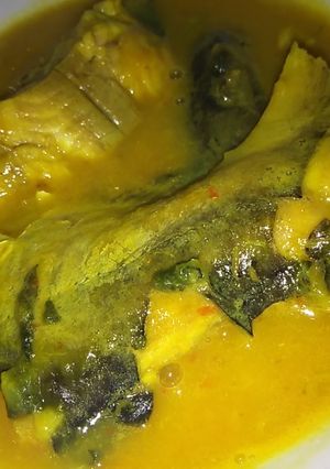 Foto resep Tompoyak ikan patin