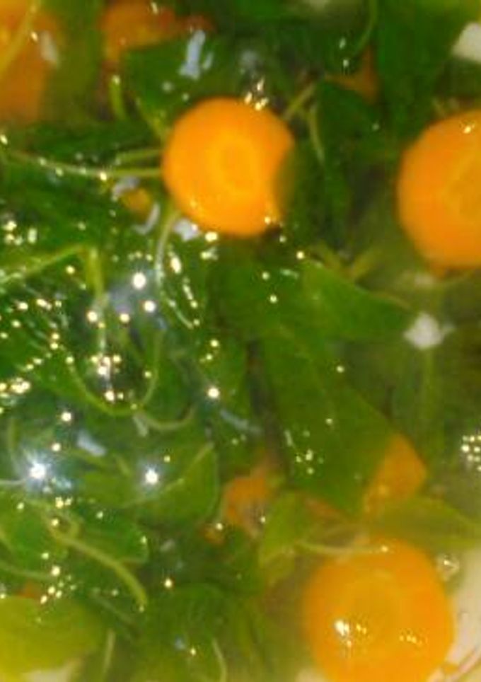 Foto resep Sayur Bayam Wortel Bening