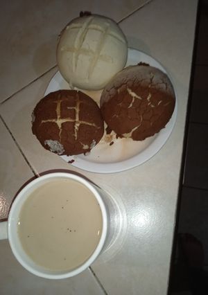 Una foto de Conchas