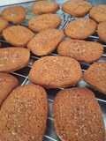 Biscotti al Caramello