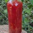 Tomates en conserva
