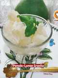 👩‍🍳Pomelo-Lemon Granita