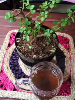 आयुर्वेदिक चाय रेसिपी मुख्य फोटो