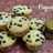 Vanilla Cupcakes
