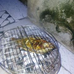 A picture of Grilled fish.