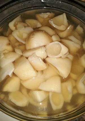 Foto resep Kolak salak