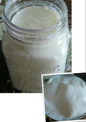 Foto resep Homemade yogurt