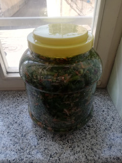 عکسی از دستور ترشی لیته 😋😋