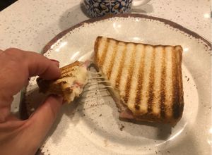 Una foto de Aliado caliente (Barros Jarpa)