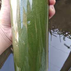 A picture of Jus Sawi Daging.