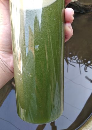 Foto resep Jus Sawi Daging