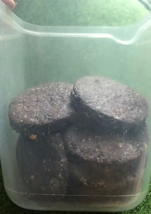 Foto resep Oat chocolate cookies (full oat)