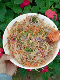Hình của món Gỏi sứa.