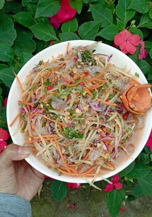 Hình của món Gỏi sứa.