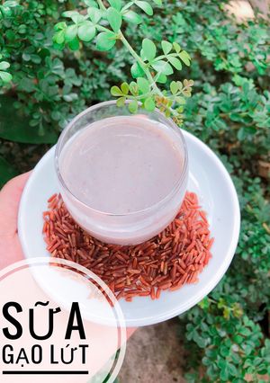 Hình của món Ăn dặm - Sữa gạo lứt.