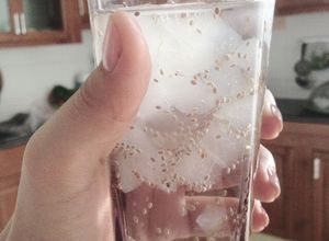 Hình của món Nước nha đam đường phèn hạt chia.