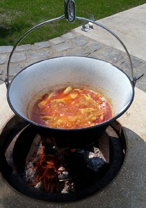 Tyúkpörkölt bográcsban recept fotója
