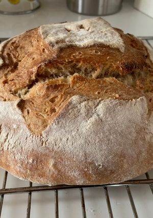 Una foto de Receta de Pan Básico con Masa Madre y Harina Blanca normal