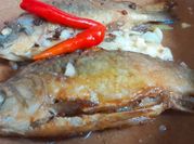 Hình ảnh của cá diếc rim mắm