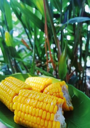 Foto resep Afternoon Jagung Manis Rebus
