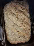 Pan zepelling