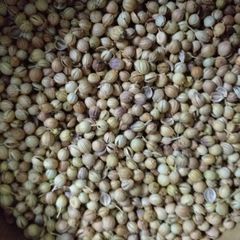 A picture of Ground Coriander.
