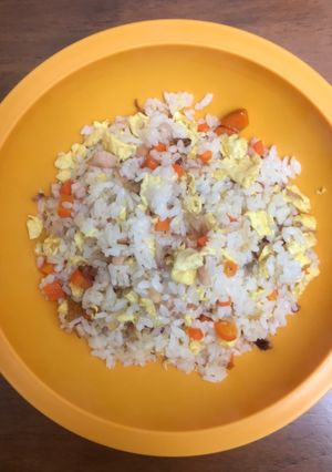 Foto resep Makanan AnakNasi Goreng Ayam Wortel