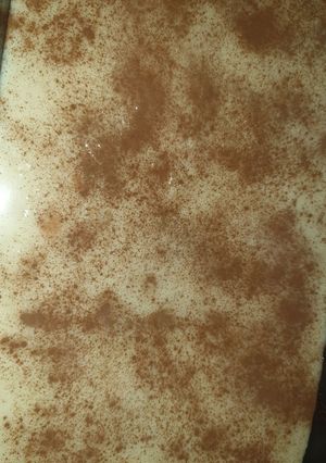 Foto principal de 2 maneras Arroz con Leche Mastermix