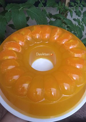 Foto resep PUDING JERUK NUTRISARI🍊