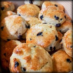 A picture of Chocolate Chip Scones.