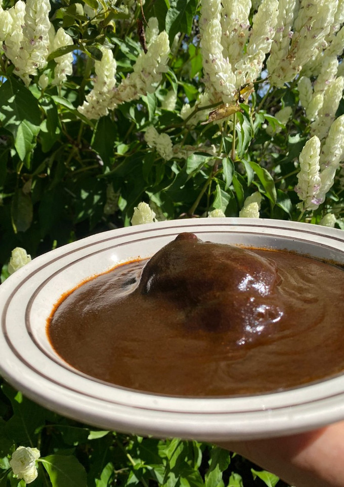Una foto de Mole chichilo